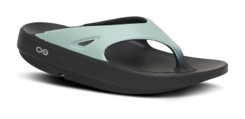 Men's OOriginal Sport Sandal - Oasis
